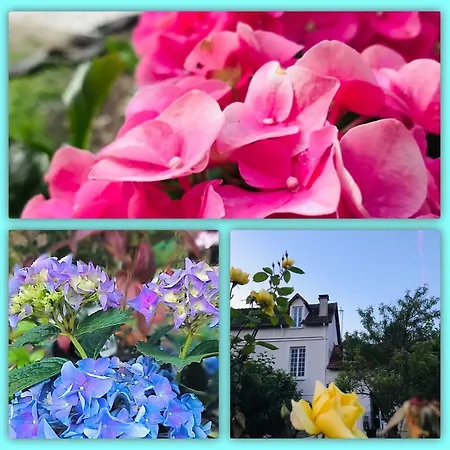 Belle Vue Terrasse Bed & Breakfast Giverny